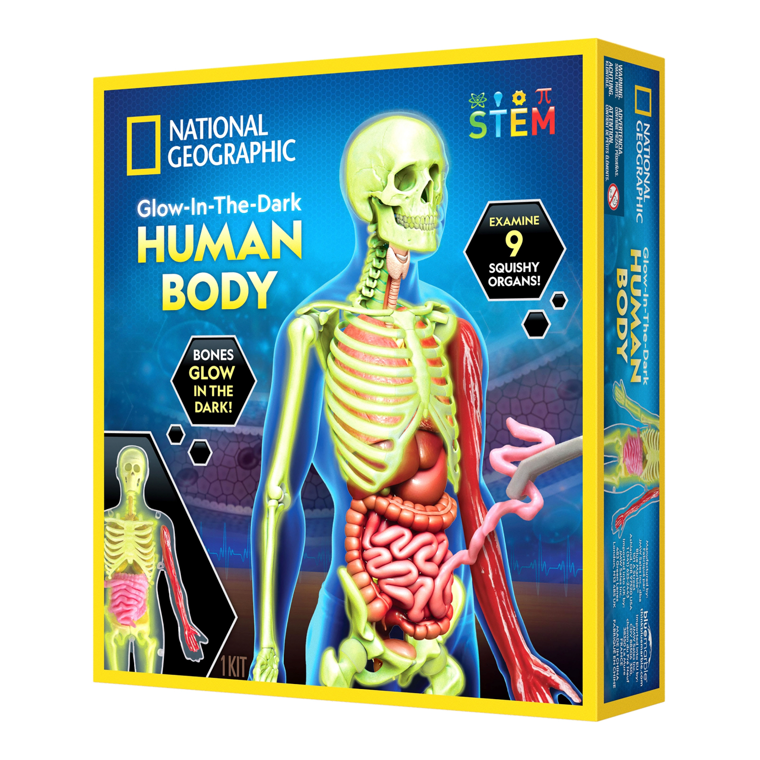 slide 2 of 7, National Geographic Glow-In-The-Dark Human Body, 1 ct