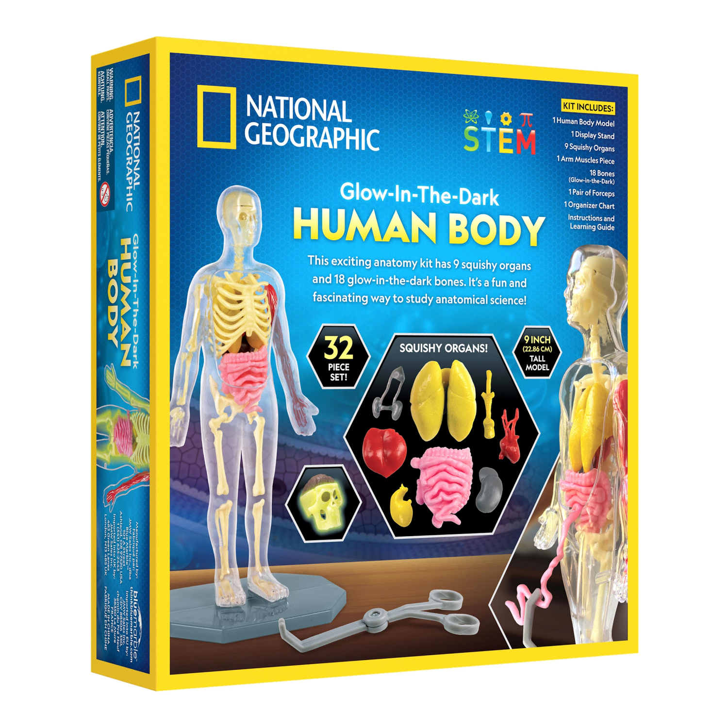 slide 1 of 7, National Geographic Glow-In-The-Dark Human Body, 1 ct