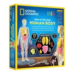 National Geographic Glow-In-The-Dark Human Body