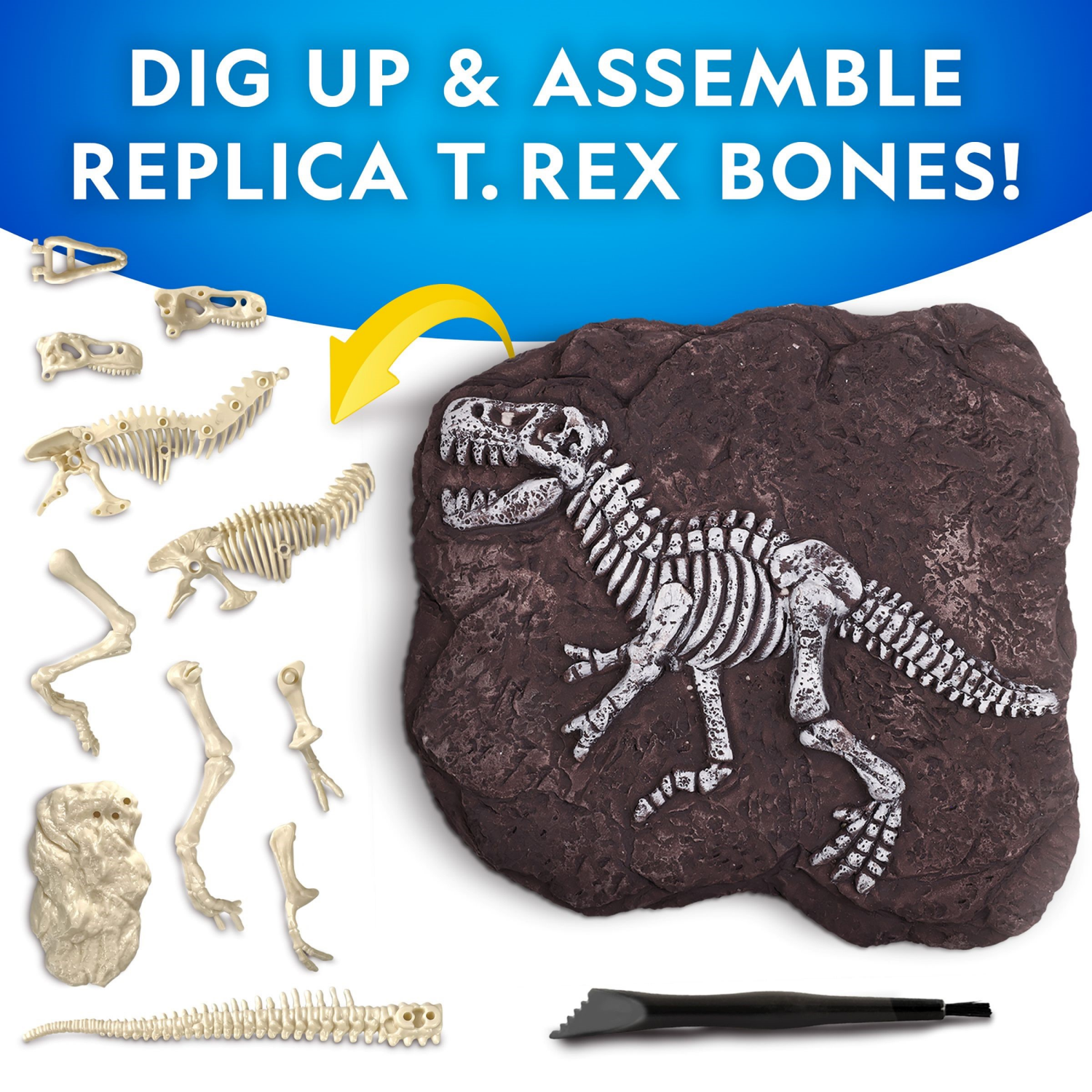 slide 3 of 4, National Geographic Tyrannosaurus Rex Dig Kit, 1 ct