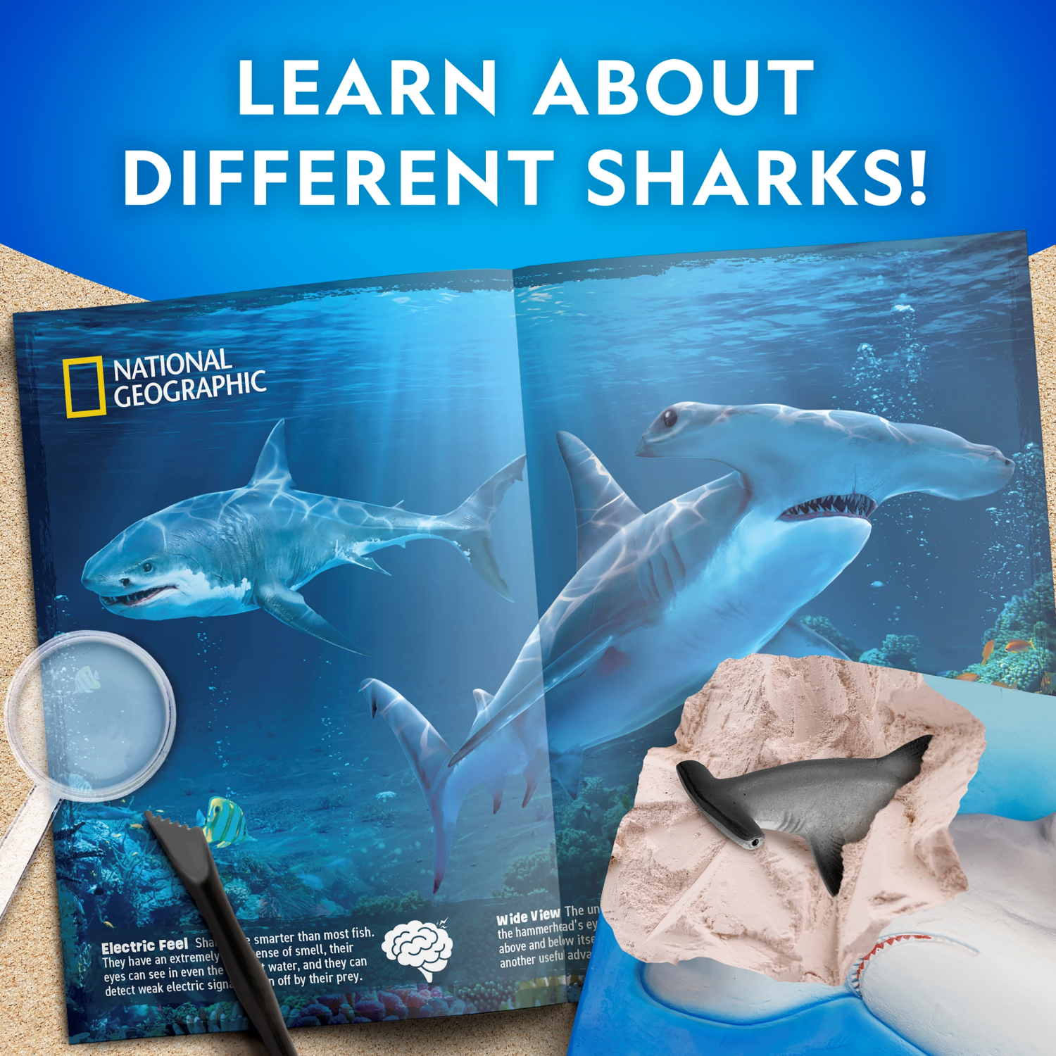 slide 5 of 5, National Geographic Shark Tooth Dig Kit, 1 ct