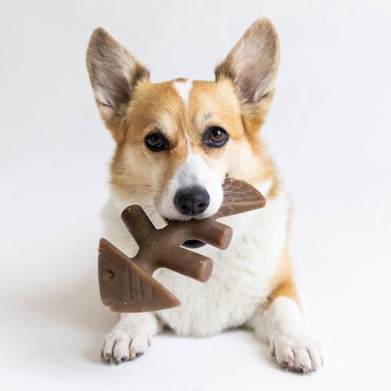 slide 4 of 6, Benebone Fishbone Dog Chew Toy - Fish - M, 1 ct