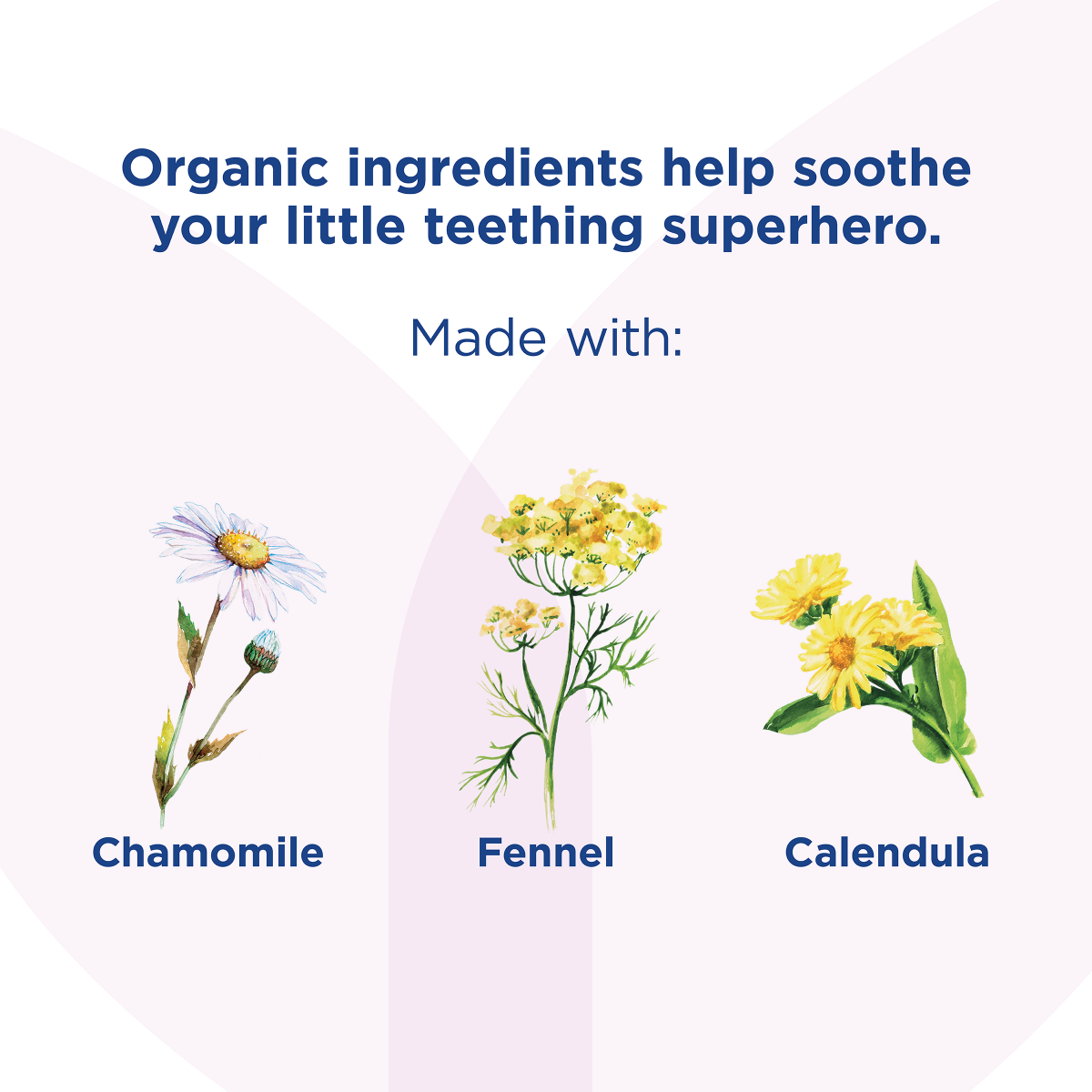 slide 5 of 7, Hyland's Naturals Baby Organic Soothing Drops Daytime -Cherry, 1 oz