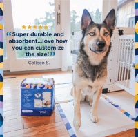 slide 3 of 29, Pet Life Unlimited Dog Pads, Create-a-Size, 50 ct