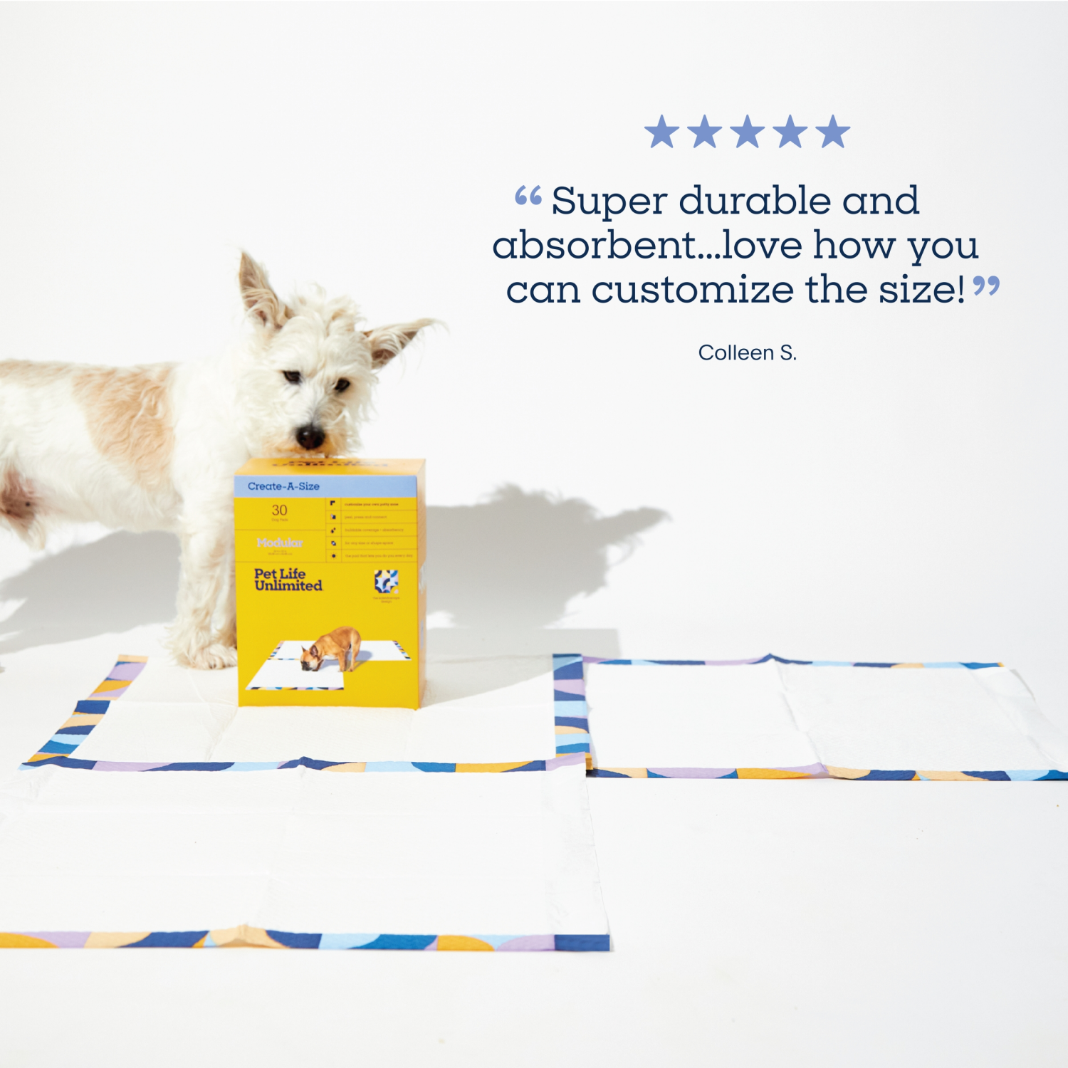 slide 7 of 8, Pet Life Unlimited Create A Size Dog Training Pads - 30ct, 30 ct