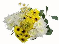 DIERBERGS FLOWERS & GIFTS BEES KNEES BOUQUET