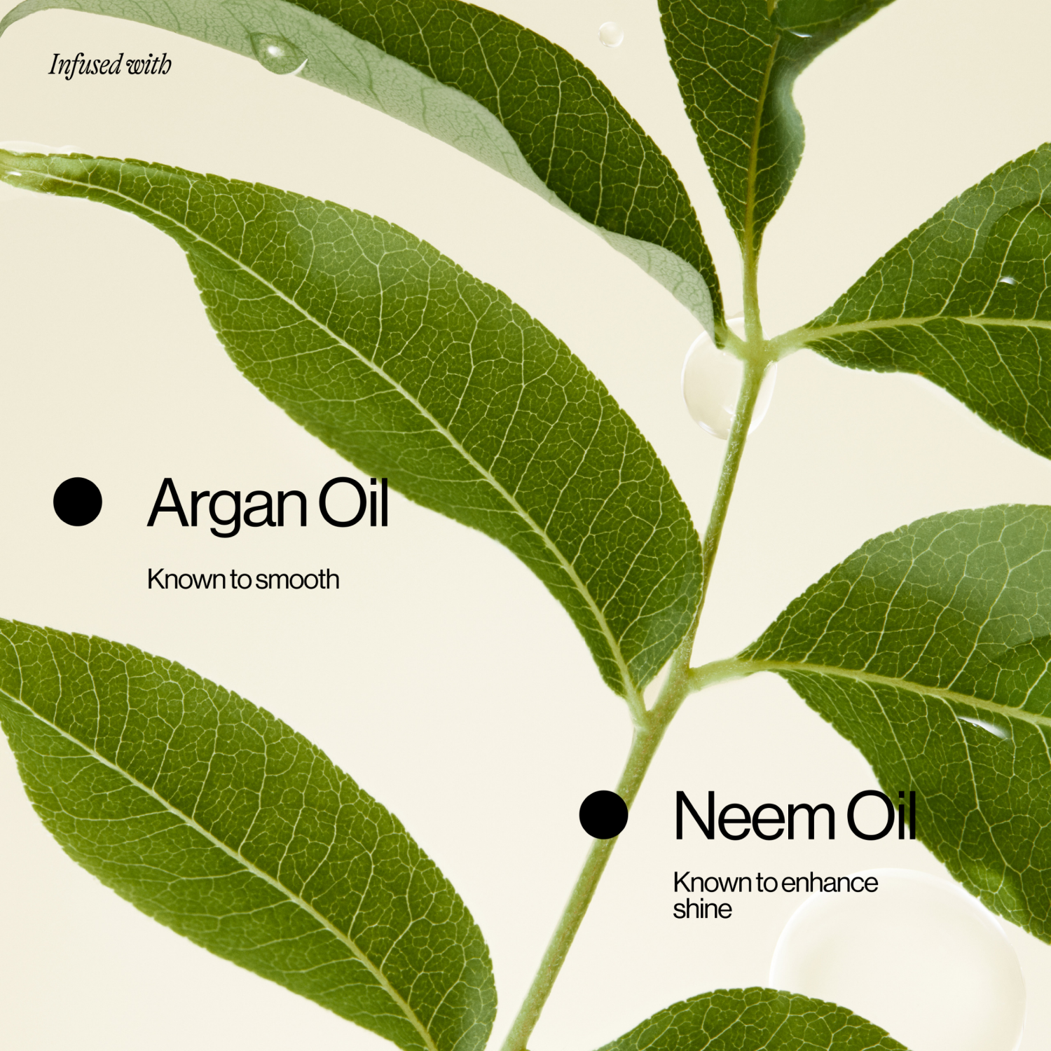 slide 4 of 8, Eva NYC Glass Hair Shine Hair Mask 8.4 oz, 8.4 oz