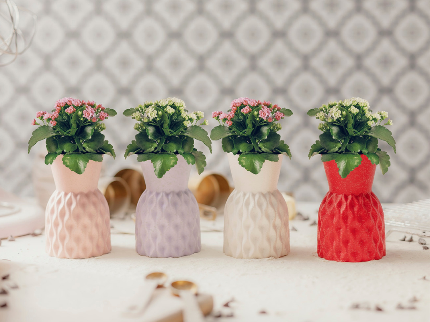 slide 2 of 2, Fondant Sweet Adventures Kalanchoe, 1 ct