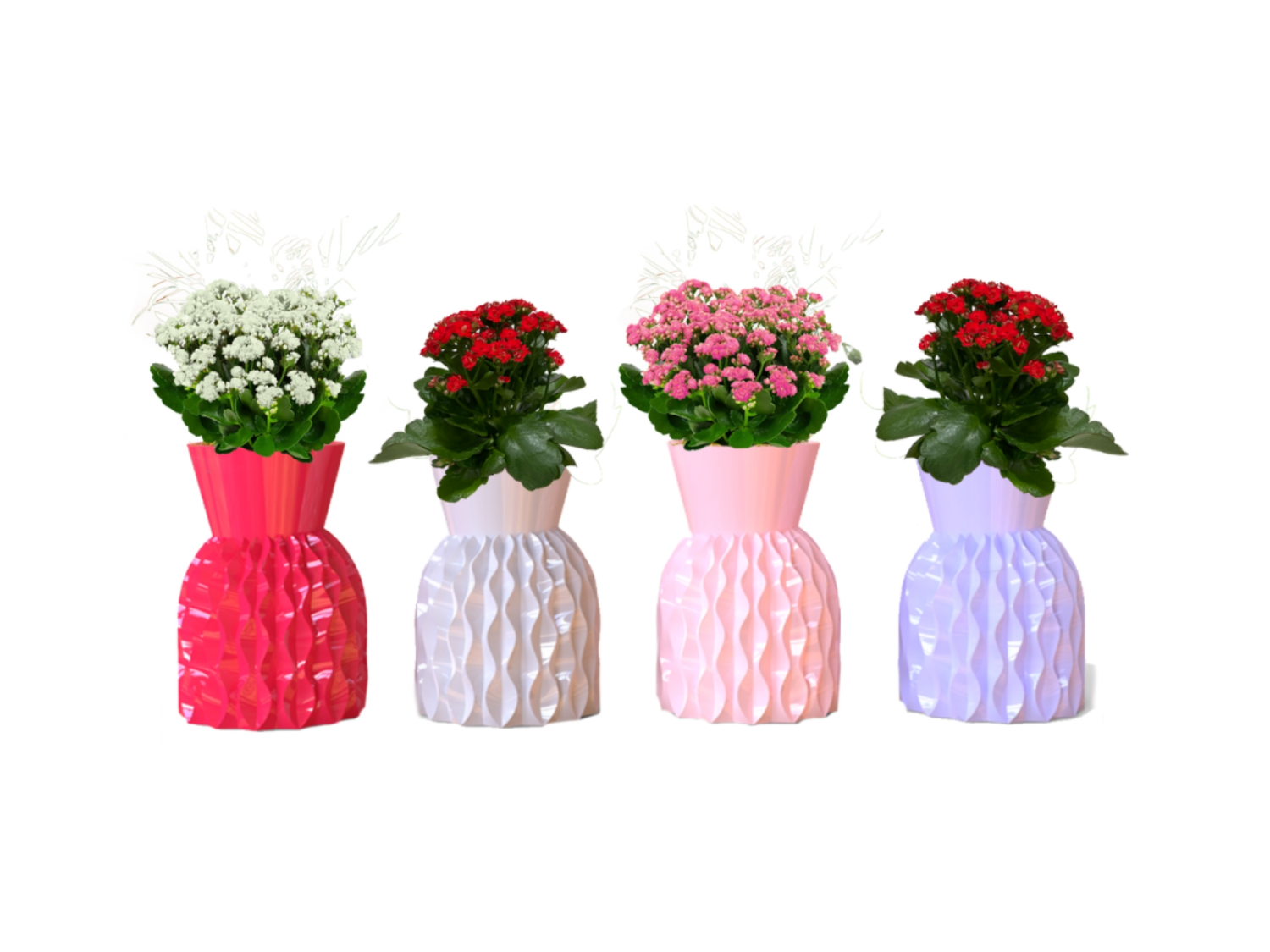 slide 1 of 2, Fondant Sweet Adventures Kalanchoe, 1 ct