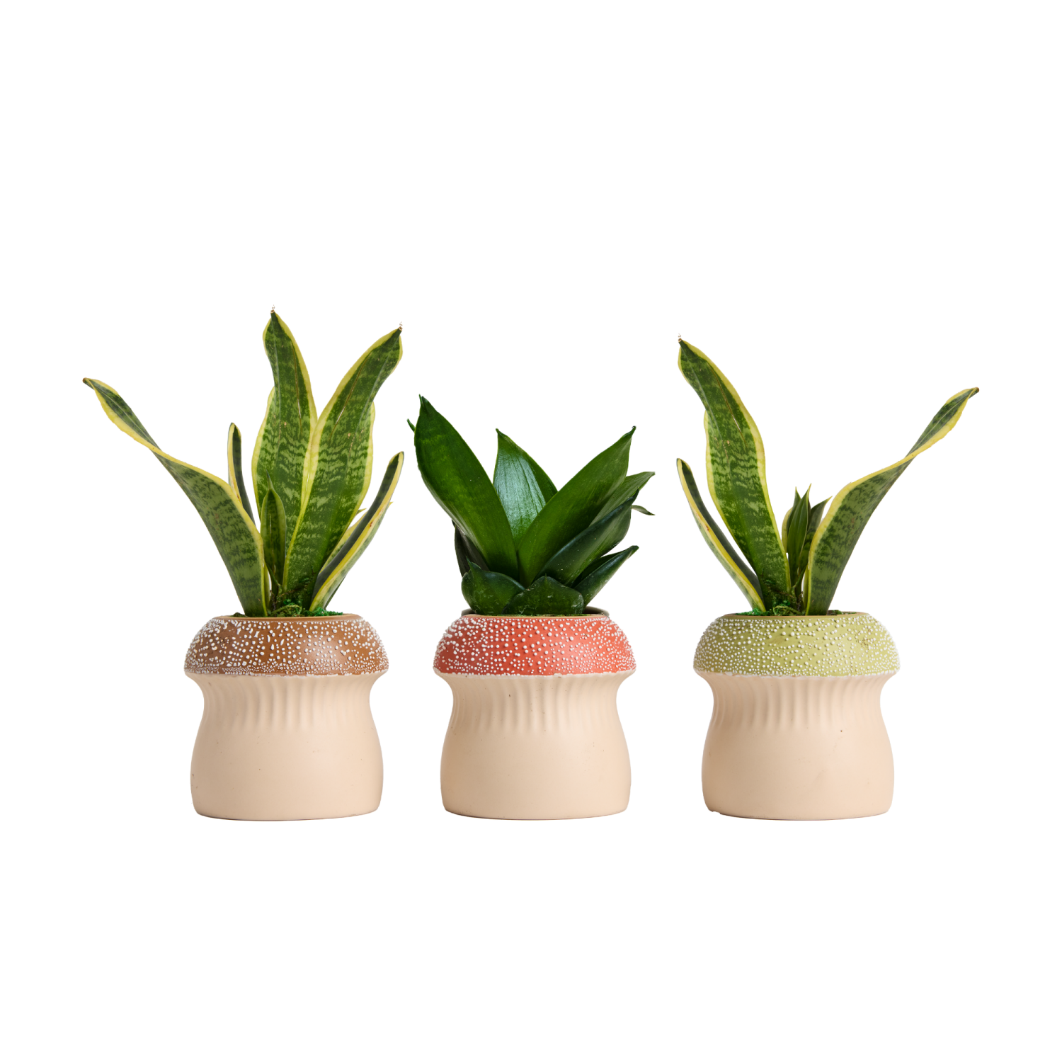 slide 1 of 2, Faerie Beaded Glaze Assorted Foliage, 3.5", 3.5 in