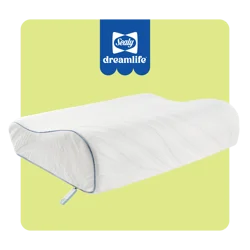 Sealy Dreamlife Contour Memory Foam Pillow