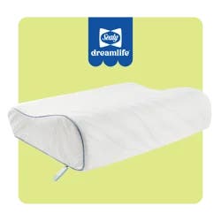 Sealy Dreamlife Contour Memory Foam Pillow