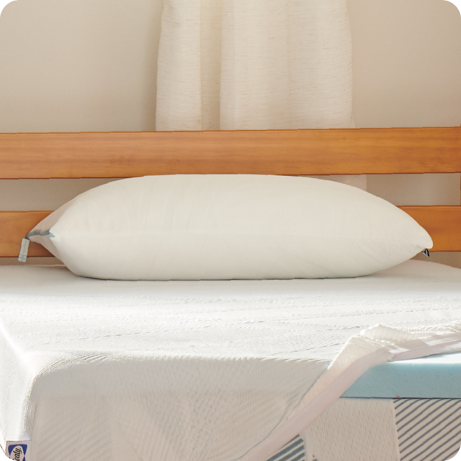 slide 2 of 8, Sealy Dreamlife Shredded Foam Bed Pillow, 1 ct