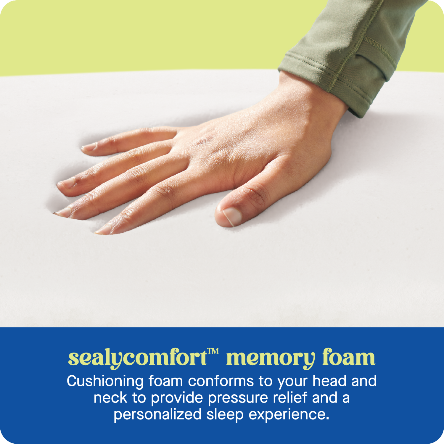 slide 5 of 8, Sealy Dreamlife Shredded Foam Bed Pillow, 1 ct