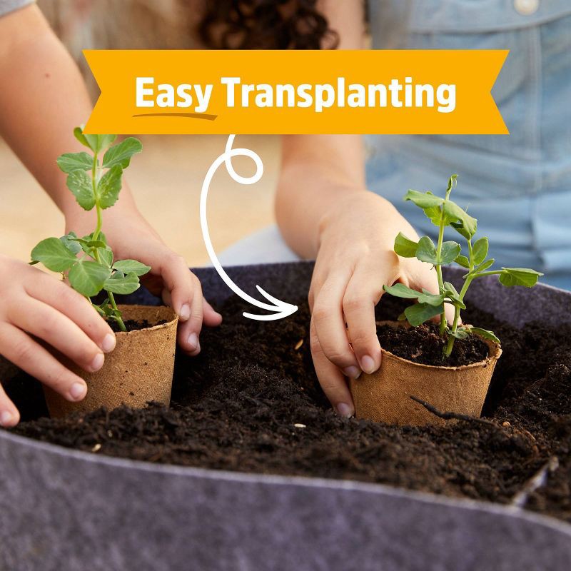 slide 5 of 10, Back to the Roots Kids Grow Kit Science Edition Organic Giant Sunflower, 1 ct