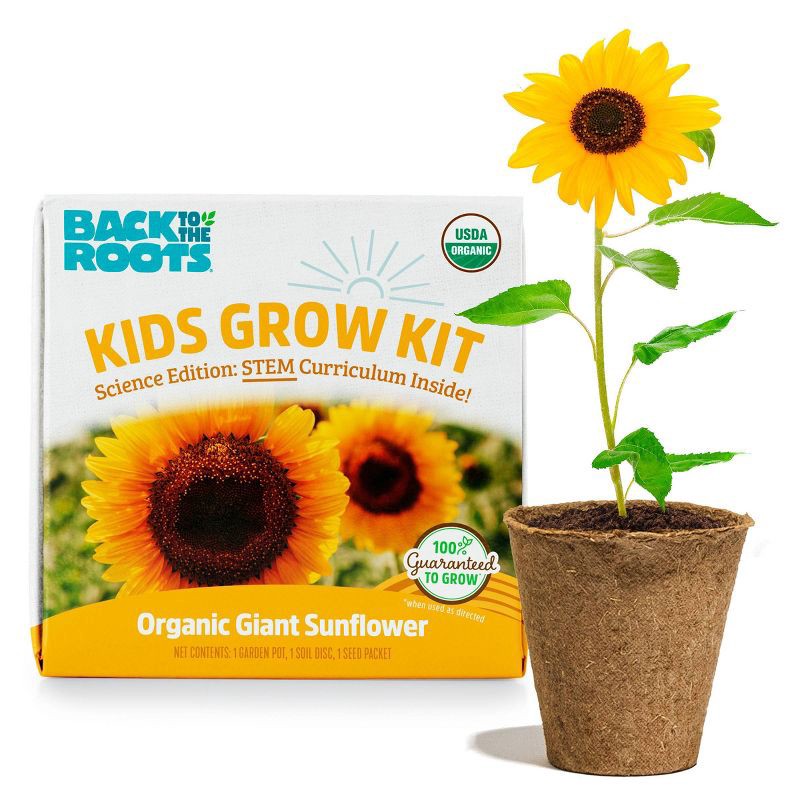 slide 1 of 10, Back to the Roots Kids Grow Kit Science Edition Organic Giant Sunflower, 1 ct