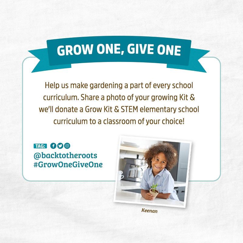 slide 10 of 10, Back to the Roots Kids Grow Kit Science Edition Organic Giant Sunflower, 1 ct