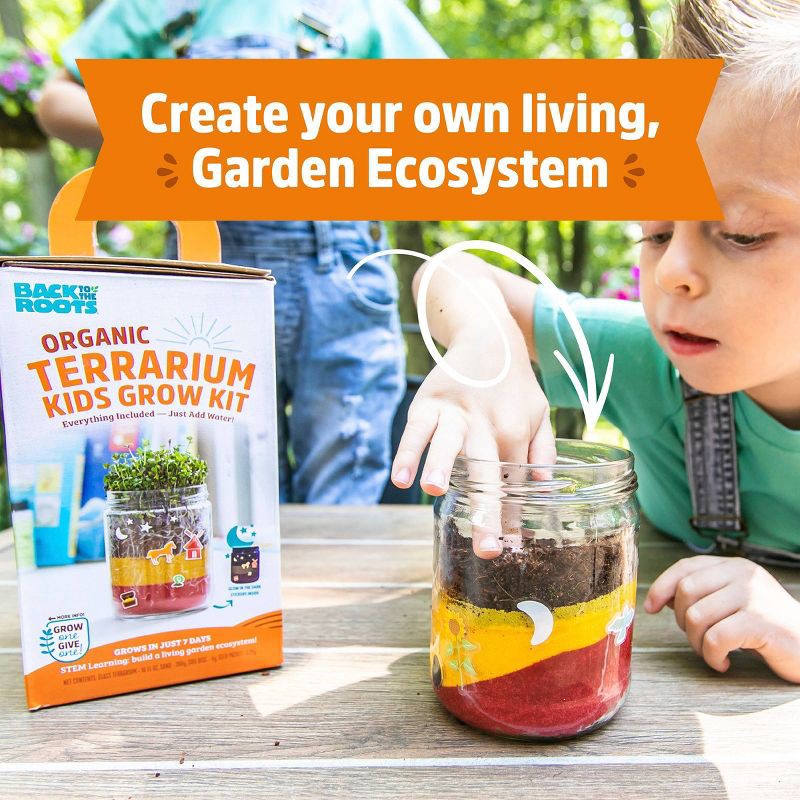 slide 6 of 10, Back to the Roots Organic Terrarium Kids Grow Kit, 1 ct