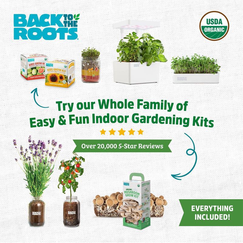 slide 9 of 10, Back to the Roots Organic Terrarium Kids Grow Kit, 1 ct