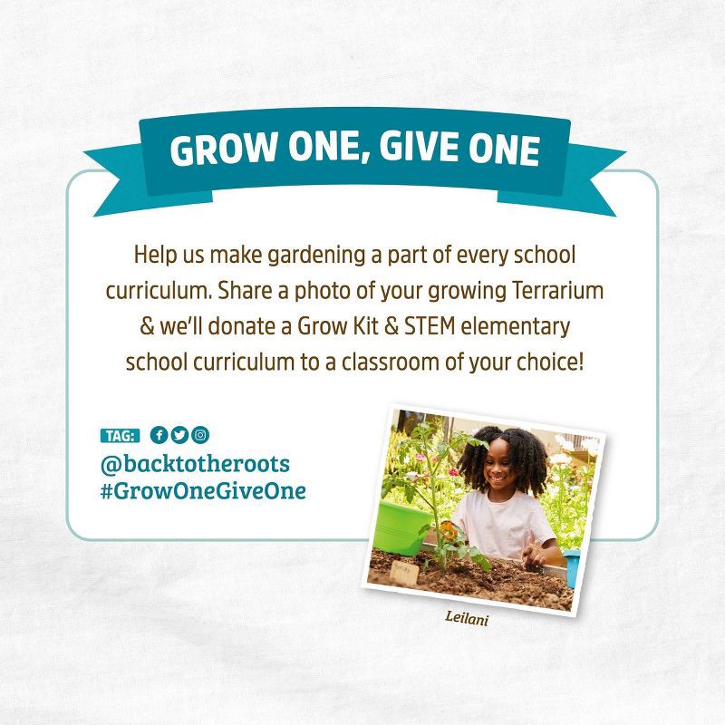 slide 10 of 10, Back to the Roots Organic Terrarium Kids Grow Kit, 1 ct