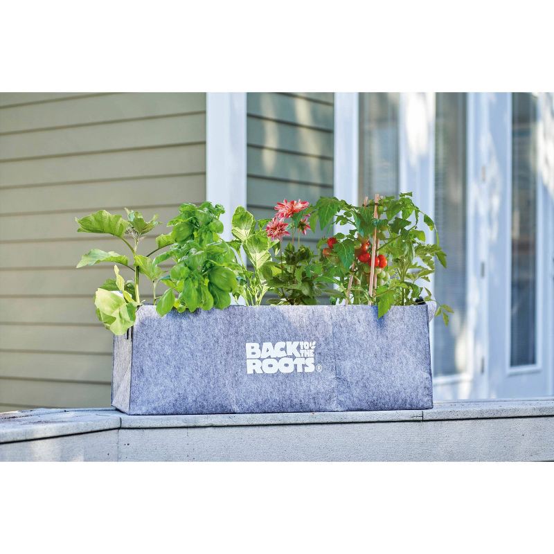 slide 6 of 8, Back to the Roots Fabric Raised Garden Bed Planter, 1 ct