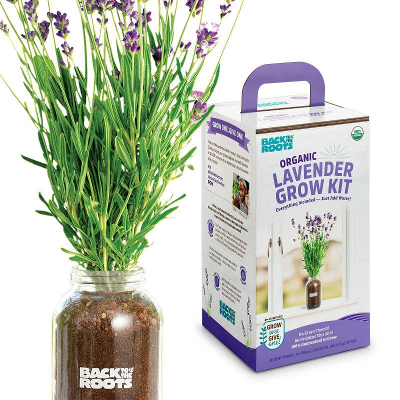 slide 1 of 11, Back to the Roots Organic Lavender Grow Kit, 1 ct