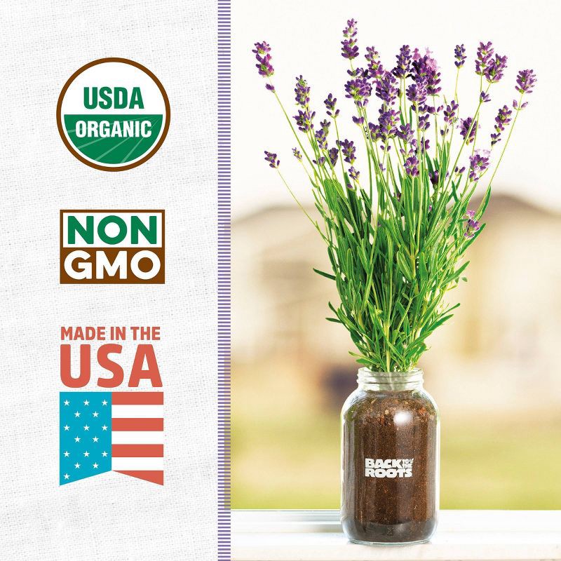 slide 3 of 11, Back to the Roots Organic Lavender Grow Kit, 1 ct