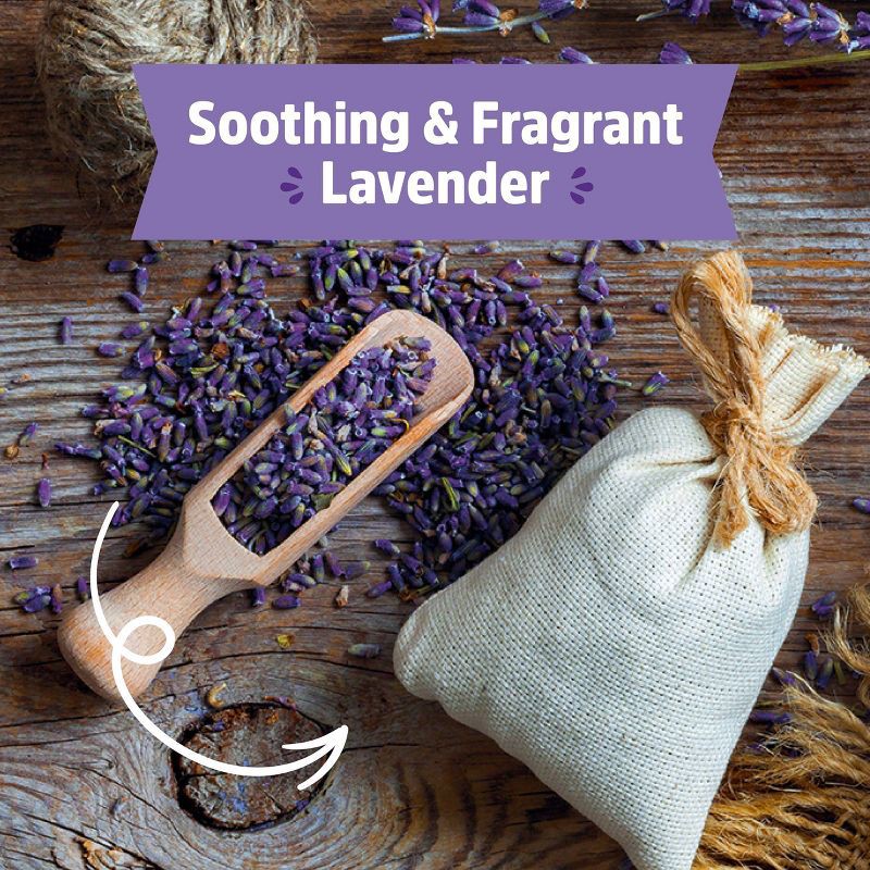 slide 7 of 11, Back to the Roots Organic Lavender Grow Kit, 1 ct