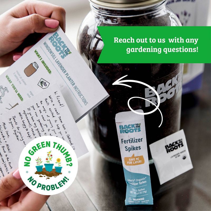 slide 8 of 11, Back to the Roots Organic Lavender Grow Kit, 1 ct