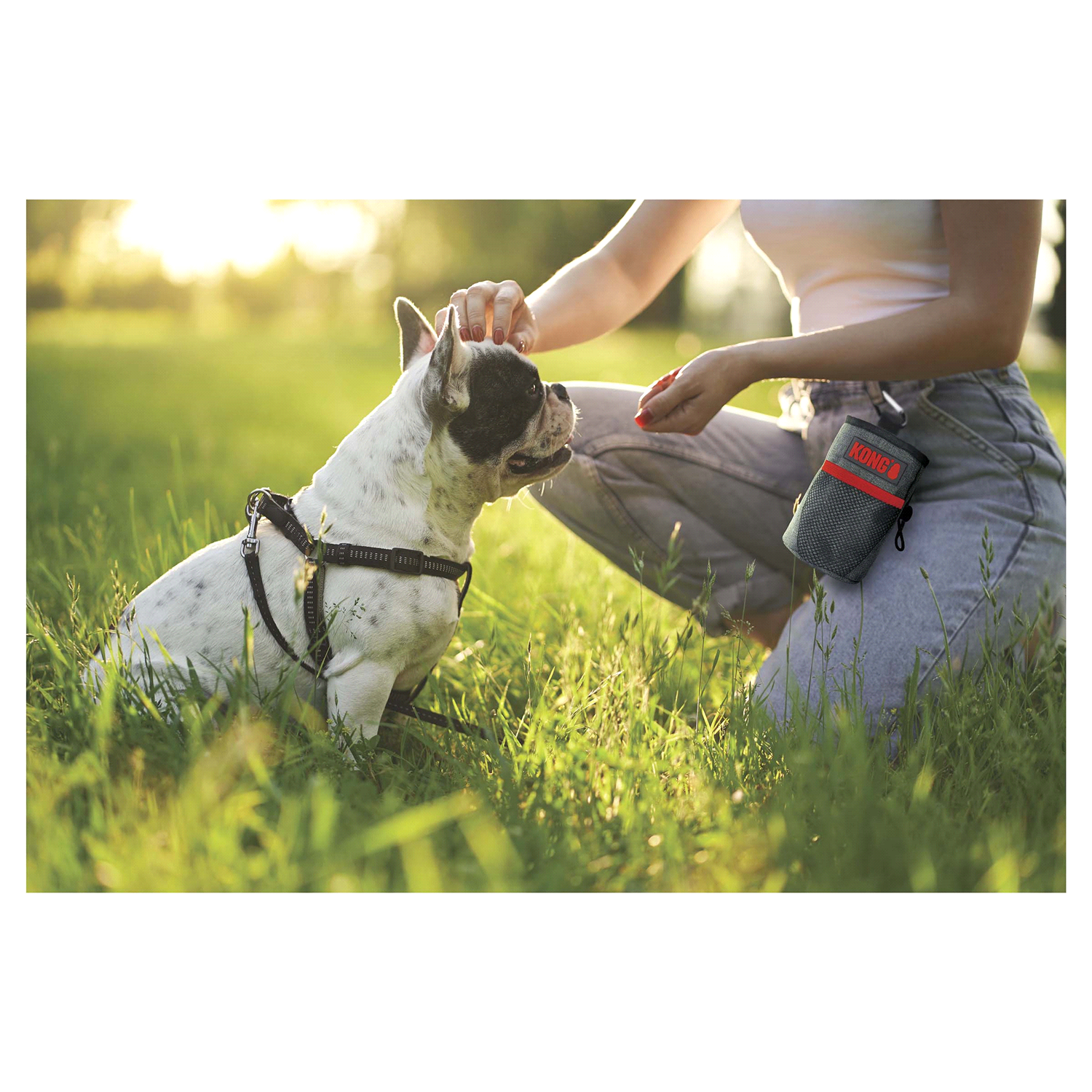 slide 4 of 4, KONG Treat Bag, 1 ct