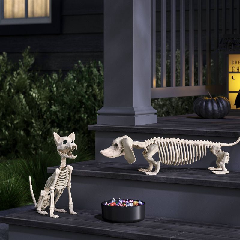 slide 2 of 3, 5" Dachshund Skeleton Halloween Decorative Prop - Hyde and EEK! Boutique™, 1 ct