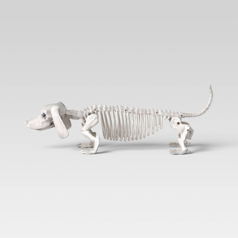 slide 3 of 3, 5" Dachshund Skeleton Halloween Decorative Prop - Hyde and EEK! Boutique™, 1 ct