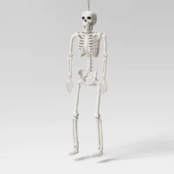 24" Posable Skeleton Halloween Decorative Mannequin - Hyde and EEK! Boutique™: Realistic, Indoor/Outdoor Display