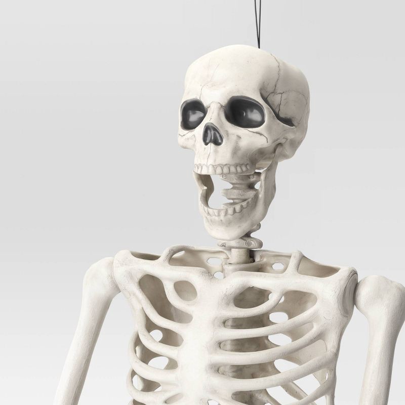 slide 3 of 3, 60" Posable Skeleton Halloween Decorative Mannequin: Hyde & EEK! Boutique™, 5ft Indoor/Outdoor Display, 5 ft