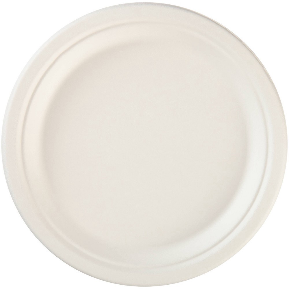 slide 7 of 7, Hefty Ecosave 100% Compostable Plates, 22 ct