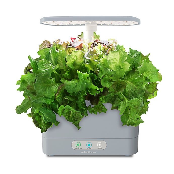 slide 4 of 6, AeroGarden Harvest with Gourmet Herb Seed Pod Kit - Cool Grey, 1 ct