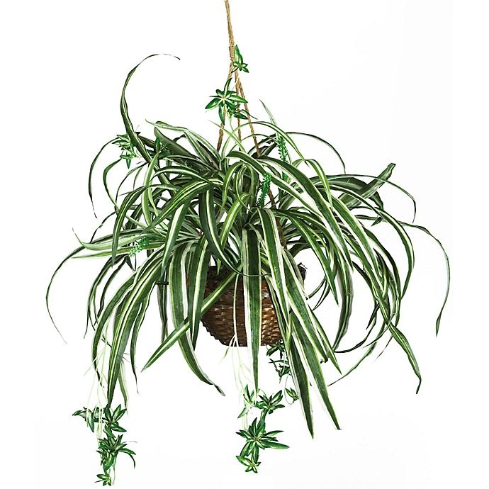 slide 1 of 1, Nearly Natural Spider Silk Plant Hanging Basket, 20 in