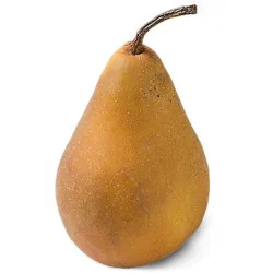 Bosc Pear
