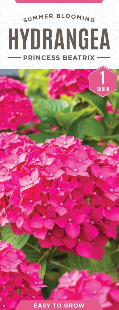 slide 1 of 1, Joy Of Gardening Princess Beatrix Hydrangea Seeds, 1 ct