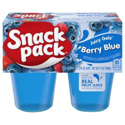 Snack Pack Berry Blue Flavored Juicy Gels, 3.25 oz Snack Cups, 4 Count, 12 Pack