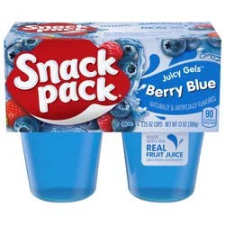 Snack Pack Berry Blue Flavored Juicy Gels, 3.25 oz Snack Cups, 4 Count, 12 Pack