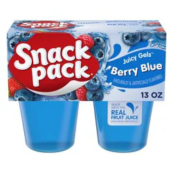 Snack Pack Berry Blue Flavored Juicy Gels, 3.25 oz Snack Cups, 4 Count, 12 Pack