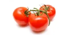 Missouri Homegrown Tomatoes