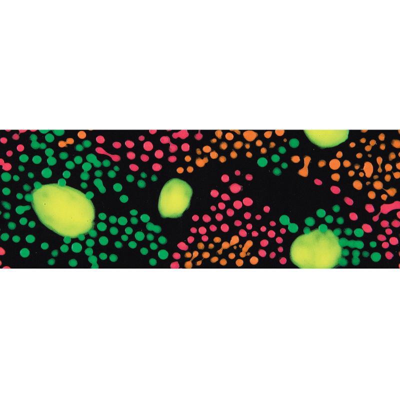 slide 6 of 6, 6ct Glow-In-The-Dark Acrylic Paints - Mondo Llama™, 6 ct