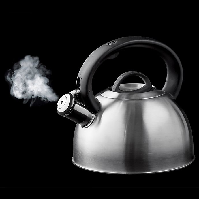 slide 2 of 3, SALT Stainless Steel Tea Kettle, 2.1 qt