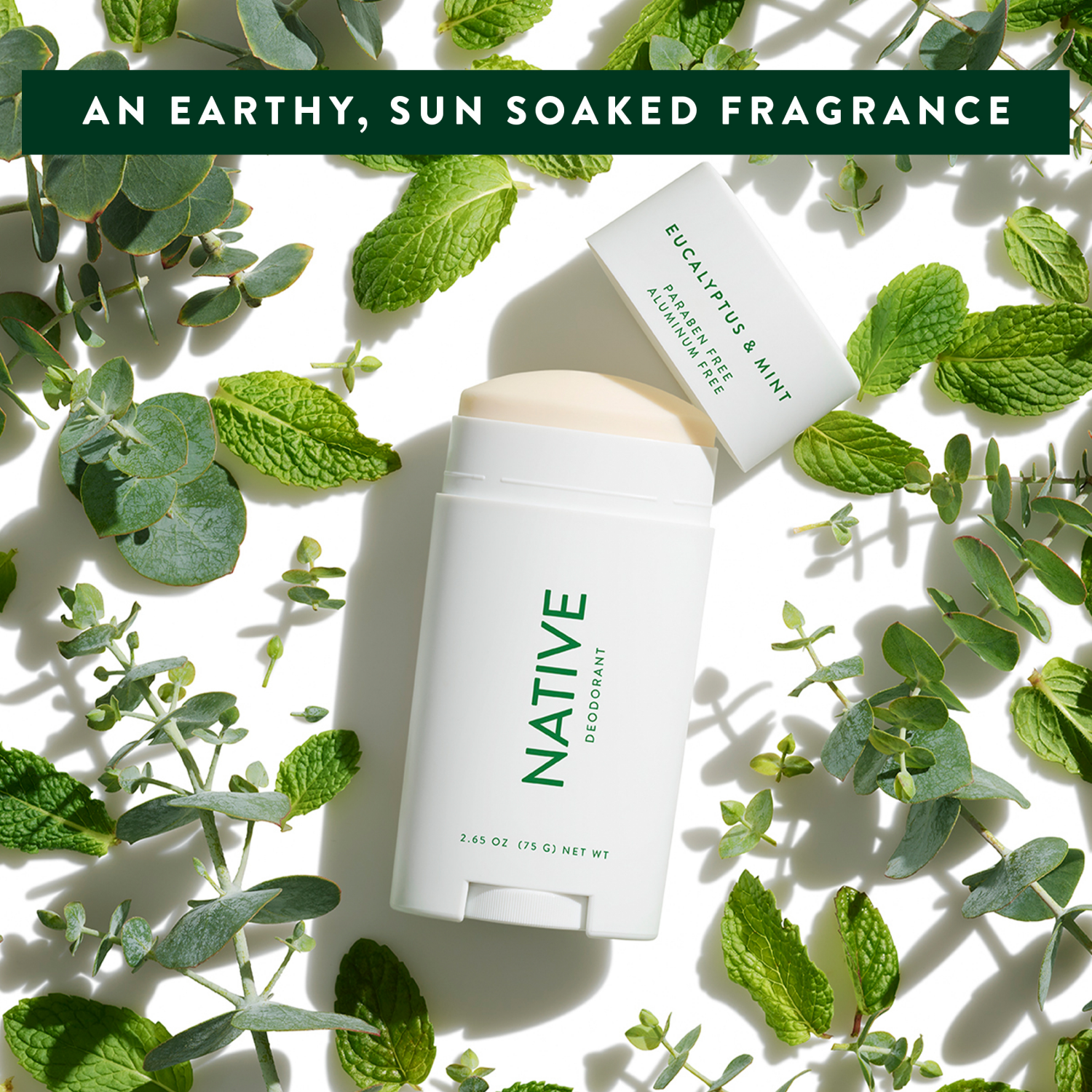 slide 5 of 5, Native Eucalyptus & Mint Deodorant 2.65 oz, 2.65 oz