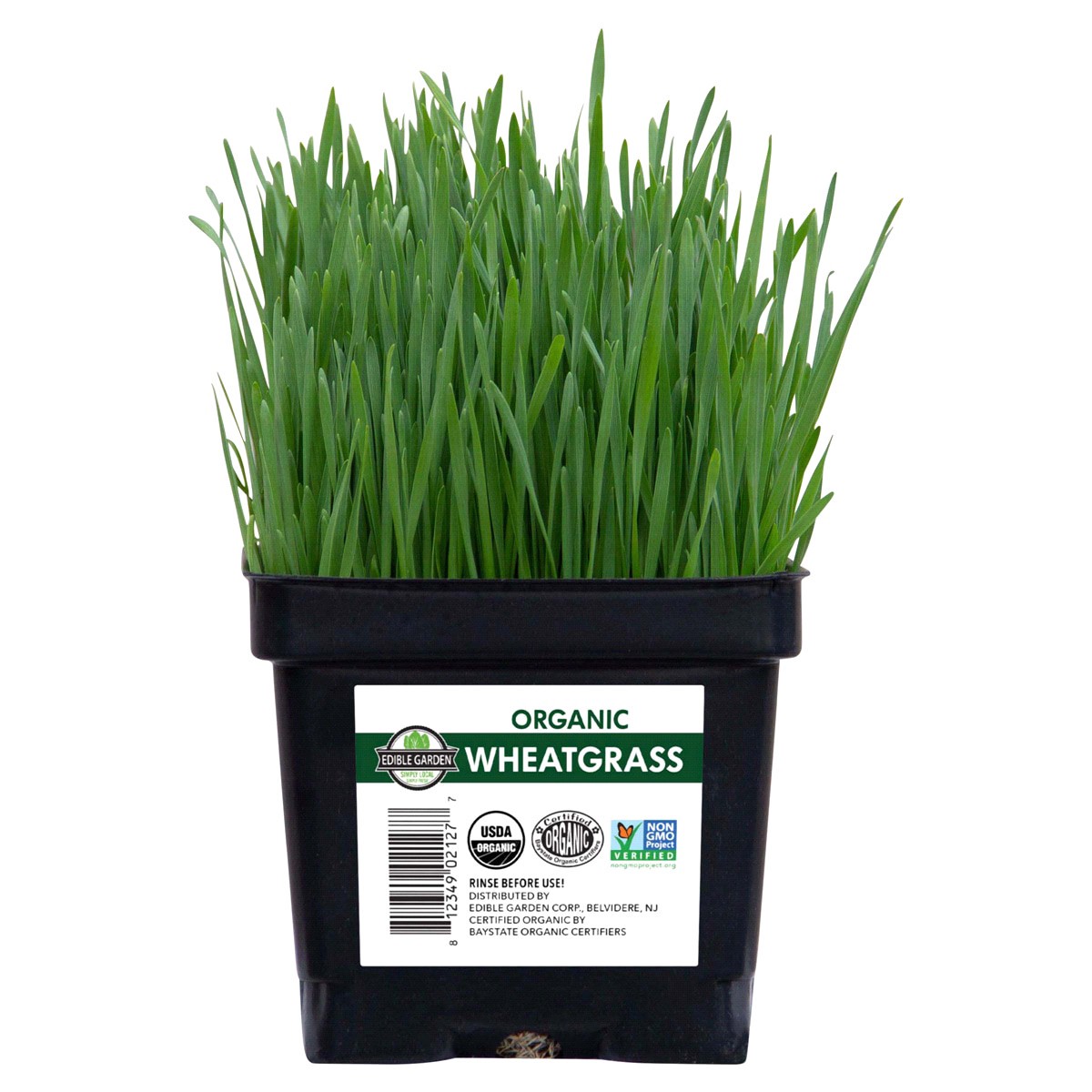 slide 1 of 5, Edible Garden Organic Wheatgrass, 1 ct