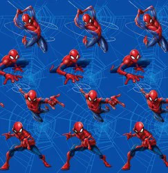 Spider-Man Shower Curtain