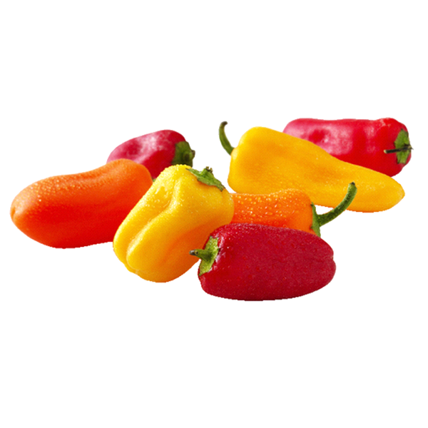 slide 1 of 1, Organic Sweet Peppers Petite Medley, 1 lb