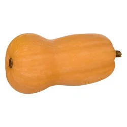 Organic Butternut Squash